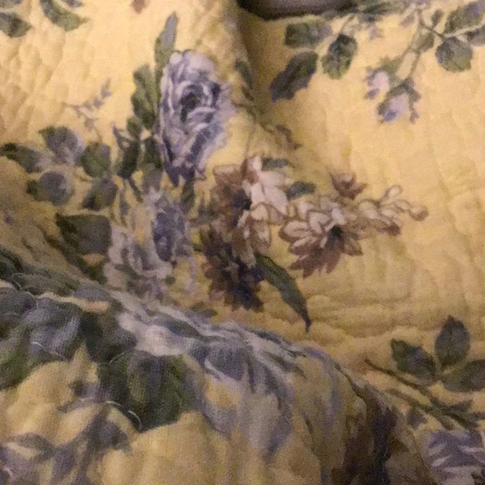 Meet your Posher, Robin